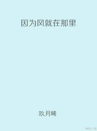 因为风就在那里txt下载